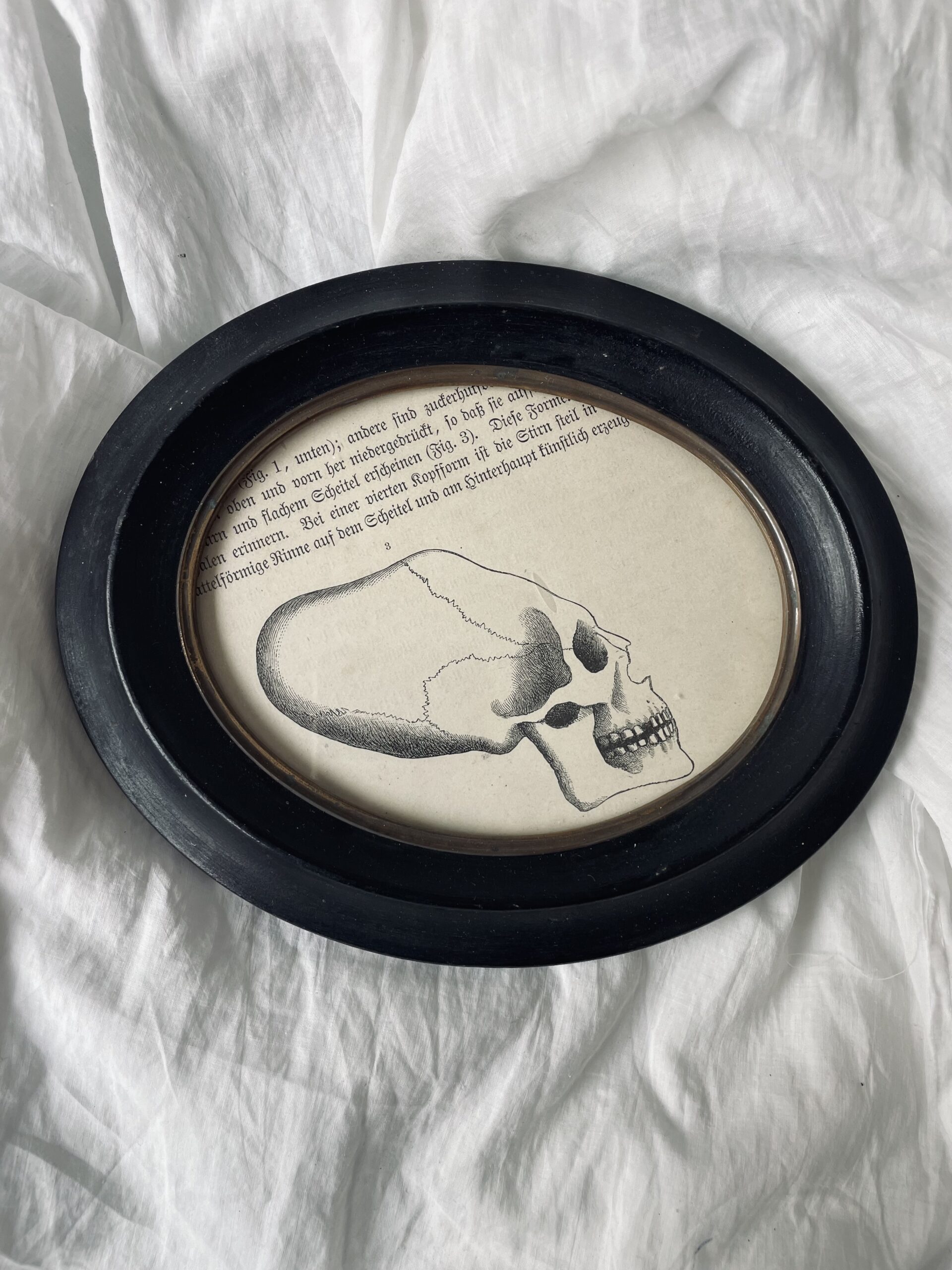 GRAVURE ET CADRE 19EME SIÈCLE